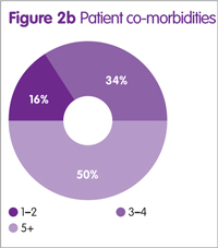 Figure 2b: Patient co-morbidities
